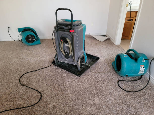 Best Local water damage restoration  in Tillson, NY