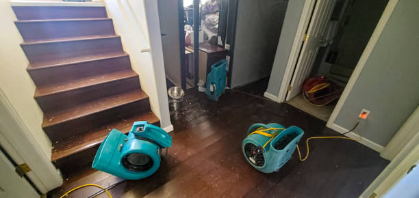 Best Water damage restoration process  in Tillson, NY