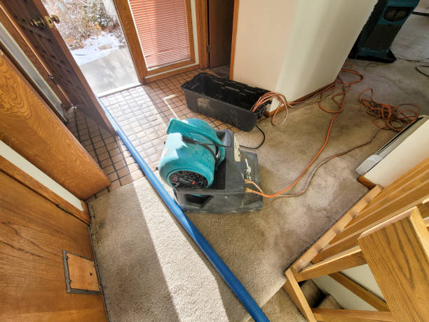 Best Sewage cleanup and water damage restoration  in Tillson, NY