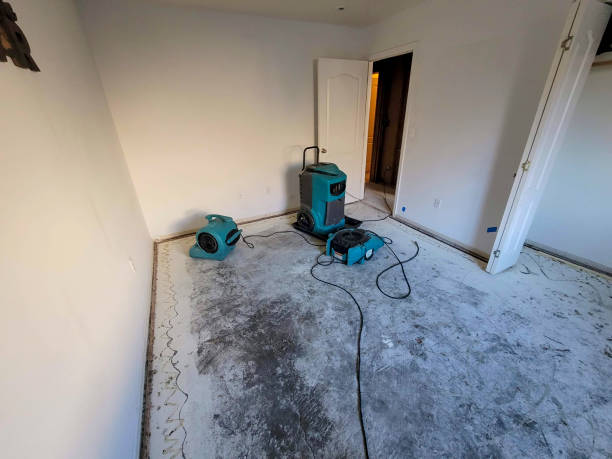 Best Commercial water damage restoration  in Tillson, NY
