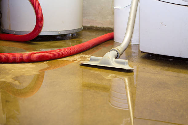 Best Flood damage cleanup  in Tillson, NY