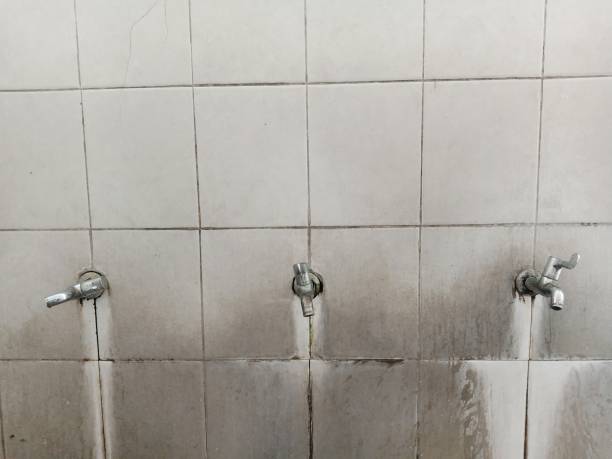 Best Sewage cleanup and water damage restoration  in Tillson, NY
