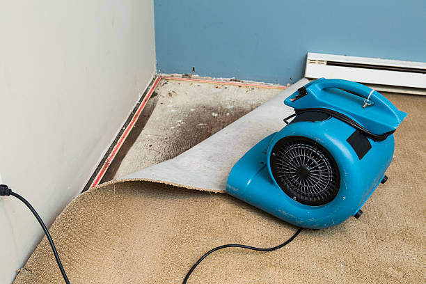 Best Ceiling water damage repair  in Tillson, NY